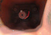 Grove Gear TM226-2 Gear Reducer Flexaline 15:1 Ratio 2.92 input HP left output