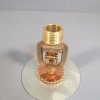 GRASCO SPRINKLER HEAD 1/2 IN NPT, BRASS, W/ 31/2 IN SHIELD, 165 DEGREE