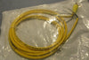 Brad Connectivity 1200650255 Receptacle 4Pin Female PVC Cord set Lot of 2