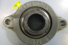 SealMaster SFT-20 2 Bolt Flange Bearing 1 1/4" Bore