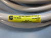 Allen Bradley 889N-F65GFNM-10 6 Pin 10 M Patch Cord Mini Straight M-F Ser A