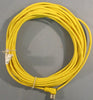 Lumberg Automation RKWT 3 U-664/30F Cordset 30 Ft Long Female 3 Position 250V
