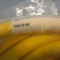 Turck WKM 366M Single Ended Cordset U5026 7/8" Female PVC 6m Length