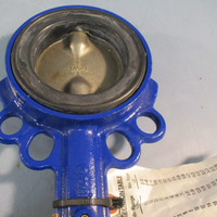 Amri KSB Steel Wafer Butterfly Valve Isoria 16 3T6K6 3" 240LB CS Body, Manual