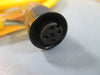 IFM Efector Connector Cable W80310