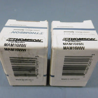 Lot of 2 Thomson Industries MAM16WW Linear Bearings