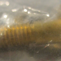 Albright 2180102 Contact Kit Single Fixed Contact Stud (Lot of 4)