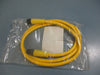 BradConnectivity 5-Pole Male/Female 1M #18/5 TPE Cord 885030K03M010 NEW LOT OF 4