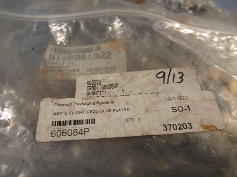 Pearson Packaging Systems Assembly Flight Chain Nickel Plated (ANSI 50) 606084P