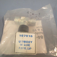 Unibody Valve 1/4" Globe F X F PL CAP