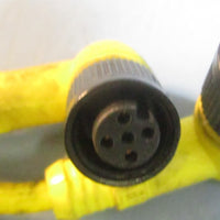 Daniel Woodhead Brad Harrison E18424-LL8825 Cordset 300V (Lot of 4)
