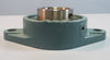 AMI UCFT210-32 Flange Bearing 2 Bolt, 2" Bore, 6-1/4" Mount Centers NIB