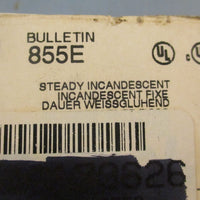 Allen Bradley 855E10DN3 Green Steady Incandescent 120VAC Ser A 58mA 7W Max