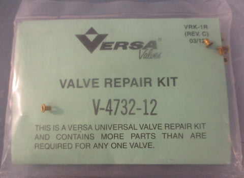 Versa Valves V473212 Pneumatic Valve Repair Kit Series V BunaN Kit