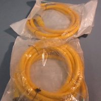 Lot of (2) Allen Bradley 889N-F3AFC-6F Ser B QD Cordset Female 3-Pin 3-Wire 6ft
