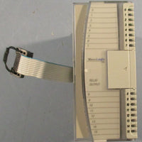 Allen Bradley 1762OW16 16 Point Relay Output MicroLogix 1200 Ser A
