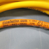 IFM Efector Connector Cable W80310