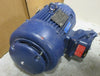 Marathon RN182TTGS11105AAL Marine / Severe Duty 1/2 HP, 3 Ph Motor, 868 RPM