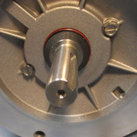 Leeson 113649.00 Washguard Motor C6T17VC5H 1/4 HP 3 Ph 1725 RPM 208/230/460 V