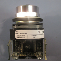 AllenBradley 2Pos Illuminated PushPull No Cap Ser. T 800TFXQ24X