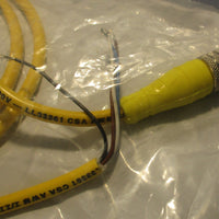 Brad Connectivity 1200650255 Receptacle 4Pin Female PVC Cord set Lot of 2