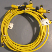 Lumberg Automation RST 4-RKWT 4-602/2M M to F Angled M12 2m Cable Lot of 3