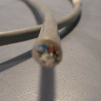 Mettler Toledo 58031404 Conductivity Sensor w/ 58080274 ISM Patch Cable 14' L