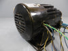 New Bodine 34R4BFCI 115V 33Lb-In TQ 60HZ 28RPM 1/15HP 60:1 5/8” Shaft