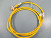 Turck RKM 30-2M MiniFast Cordset - New