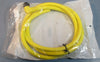 Allen Bradley 889N-R5AFC-6F QD Cordset Cable Bulletin 889N 5 Pin Right Angle NIB