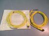 ALLEN-BRADLEY CORDSET 4 PIN DC MICRO 2 METER CABLE SER B LOT OF TWO 889D-F4AC-2