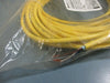 WoodHead BradConnecticity 1200651644 4P Female 90° 10M Cord 804001K05M100