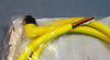 Allen Bradley 889N-R5AFC-6F QD Cordset Cable Bulletin 889N 5 Pin Right Angle NIB