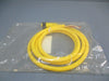 BradConnectivity 1300060728 4P Female Straight 6' 16/4 AWG PVC Cord NEW