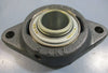 INA 01CJTZ06 2-Bolt Flange Bearing 1 1/8" Bore