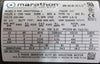 Colfax 60-20000-3056-4 Zenith 11-9000-3912-0 Pump 0.3 CC/REV 0.5 HP Marathon
