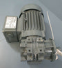 Bauer Motor Gear .33 HP Motor: 3~Motor 214173/1, Type-BS02-38H/D06LA4/AM