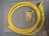 Brad Connectivity 6P Female Straight 6' 16/6 AWG PVC Cord 1300070024