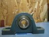 Dodge Ball Bearing Pillow Block, Two Bolt Base, ID: 3/4", Cast Iron 124131