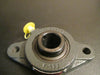 SealMaster Gold Line 20mm 2-Bolt Flange Bearing SFT-204