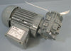Bauer Motor Gear .33 HP Motor: 3~Motor 214173/1, Type-BS02-38H/D06LA4/AM