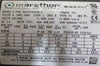 Colfax 60-20000-3056-4 Zenith 11-9000-3912-0 Pump 0.3 CC/REV 0.5 HP Marathon
