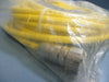 Turck Cable Cordset DK26-631-10 FACTORY SEALED