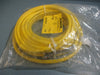 Turck Cable Cordset DK26-631-10 FACTORY SEALED