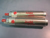 Bimba Pneumatic Air Cylinder Lof of Two 244-D