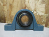 Dodge 2-Bolt Pillow Block Bearing SXR 1-3/16