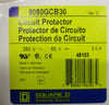 Schenider Electric Square D Circuit Protector 9080GCB30 Series C 250VAC, 65VDC